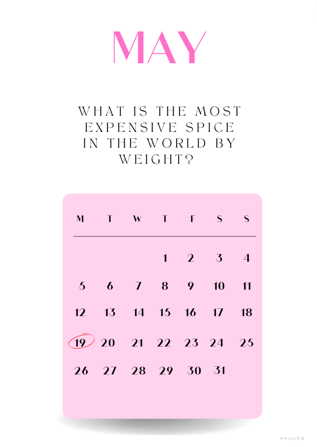 365 days, 365 questions – A Calender full of Fun