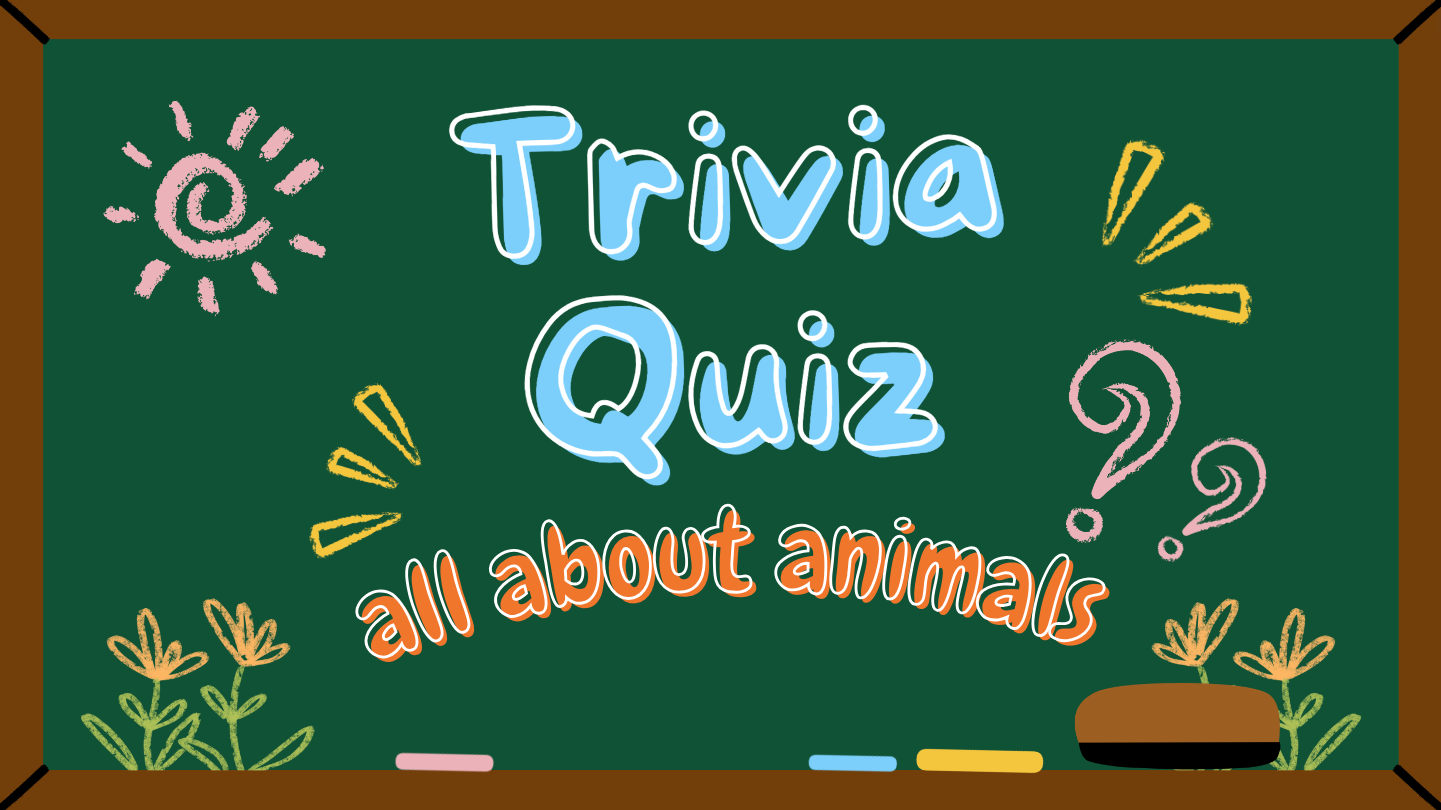 Trivia All About the Animal Kingdom