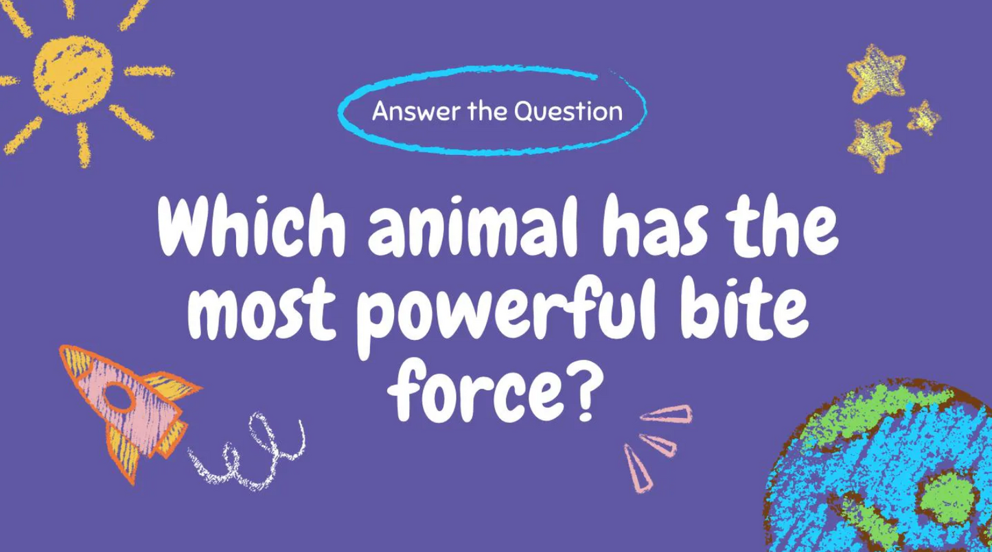 Trivia All About the Animal Kingdom